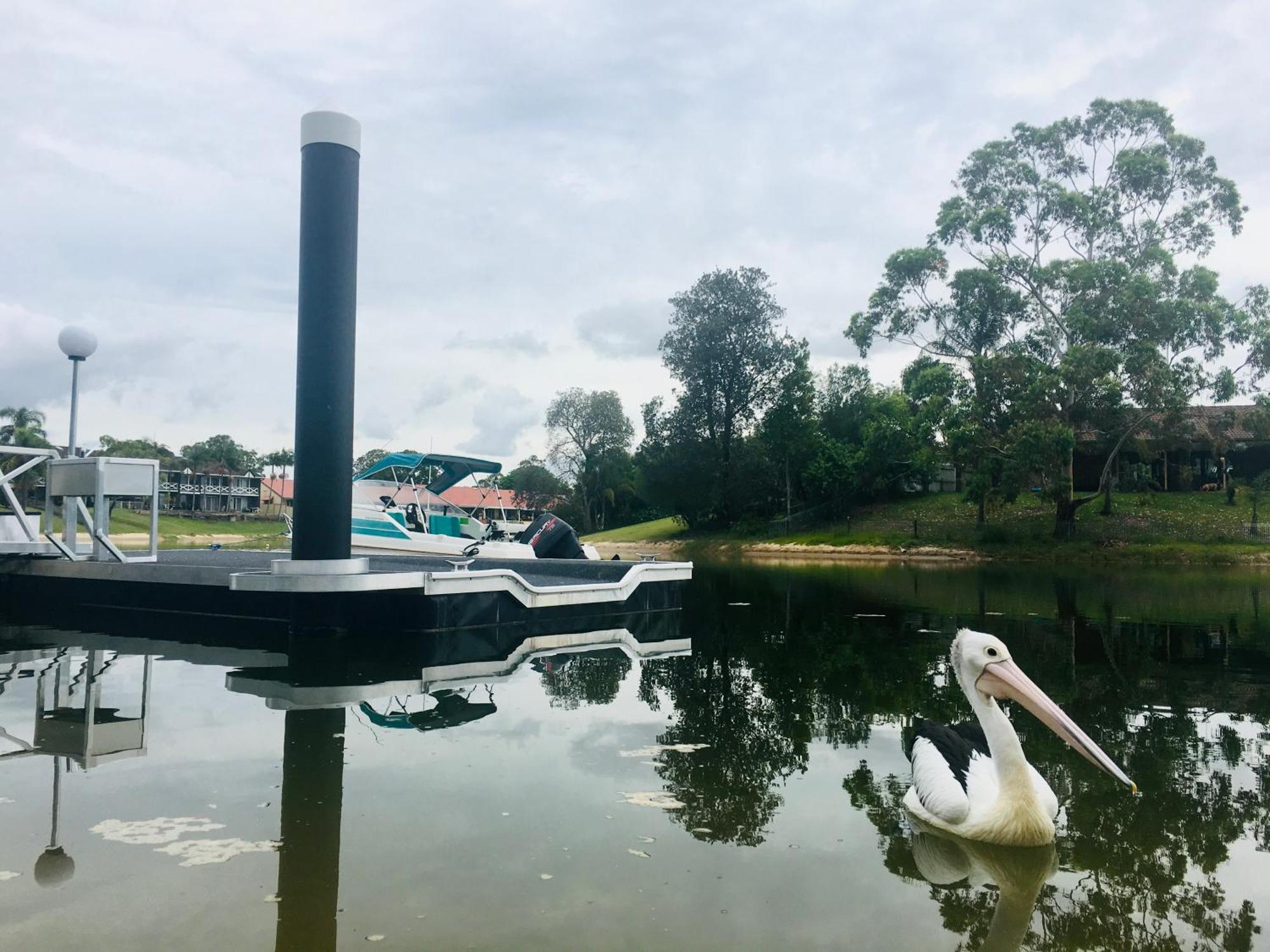 Reflections Broadbeach- Heated Pool! Complete Waterfront Entertainer With Huge Deck, Pool Table And Pontoon Villa Gold Coast Exterior photo